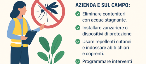 Arbovirosi e lavoro: proteggersi è fondamentale!