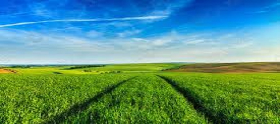 BANDO ISI INAIL 2021 ASSE 5 - AGRICOLTURA 